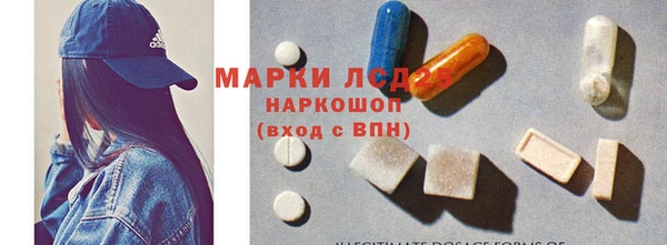 индика Абаза
