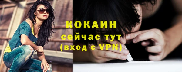 индика Абаза