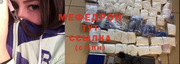 индика Абаза