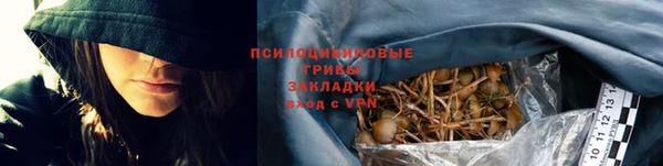 винт Няндома