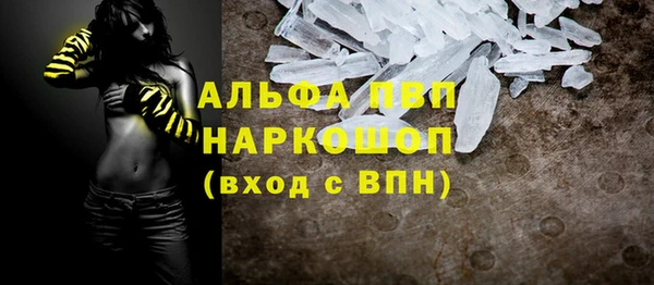 индика Абаза